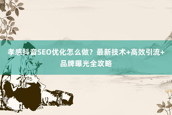 孝感抖音SEO优化怎么做？最新技术+高效引流+品牌曝光全攻略