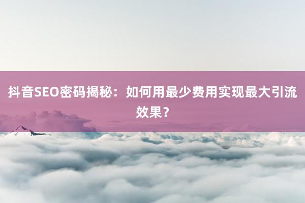 抖音SEO密码揭秘：如何用最少费用实现最大引流效果？