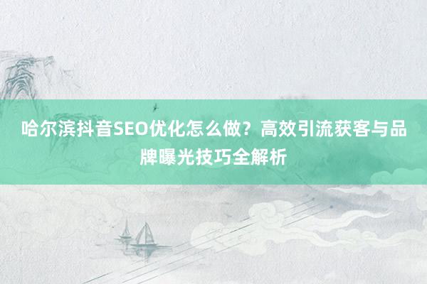 哈尔滨抖音SEO优化怎么做？高效引流获客与品牌曝光技巧全解析