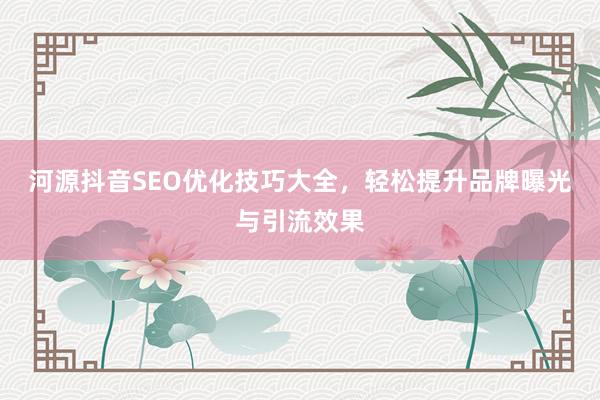 河源抖音SEO优化技巧大全，轻松提升品牌曝光与引流效果
