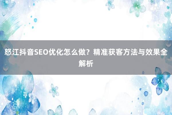 怒江抖音SEO优化怎么做？精准获客方法与效果全解析