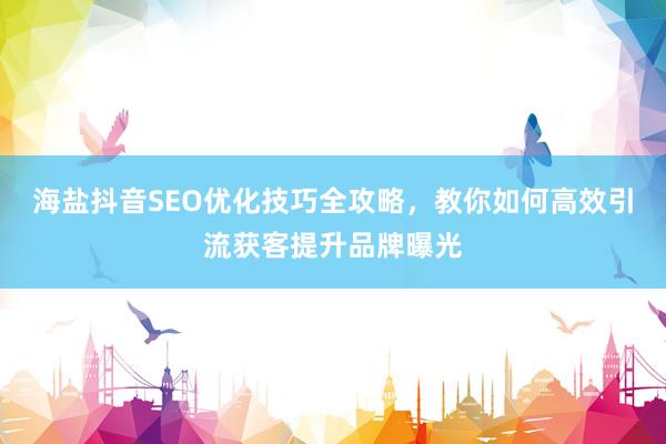 海盐抖音SEO优化技巧全攻略，教你如何高效引流获客提升品牌曝光